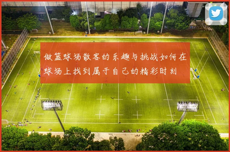 做篮球场散客的乐趣与挑战如何在球场上找到属于自己的精彩时刻