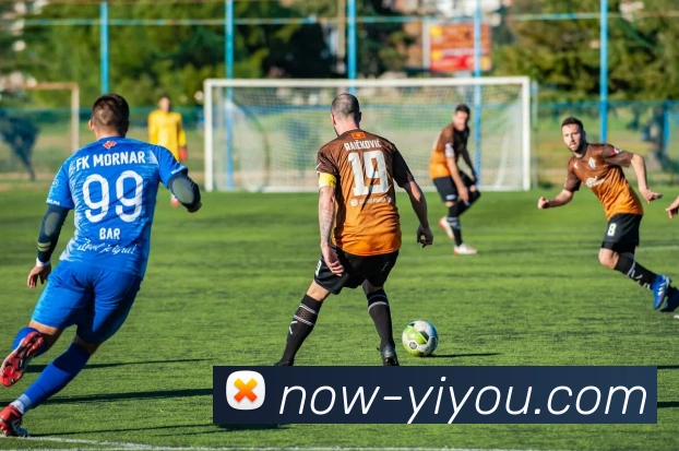 YY体育网页版入口平台生态图